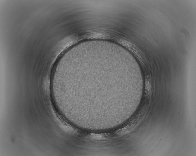X0000111590534200908131342