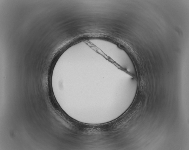 X0000111590535200908131342