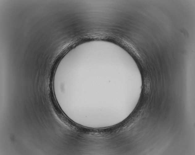 X0000111590538200908131342