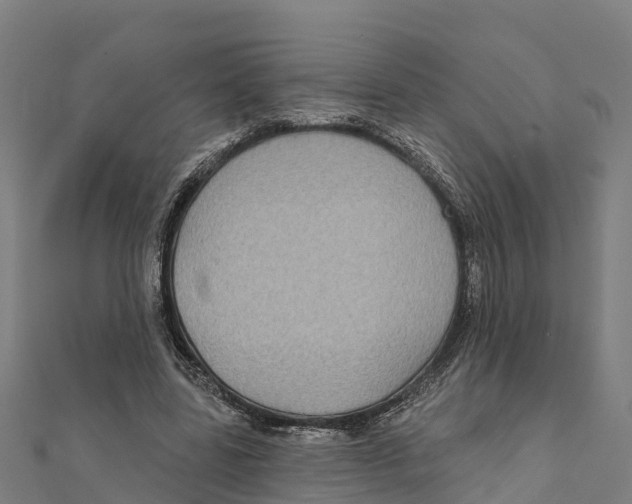 X0000111590539200908131342