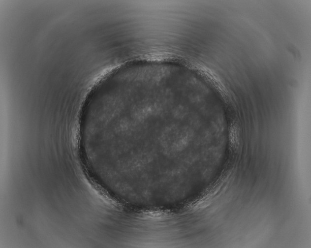 X0000111590540200908131342