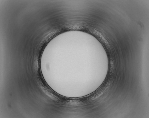 X0000111590541200908131342
