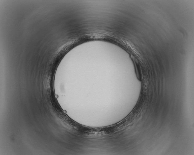 X0000111590543200908131342