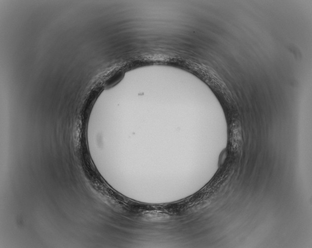 X0000111590544200908131342