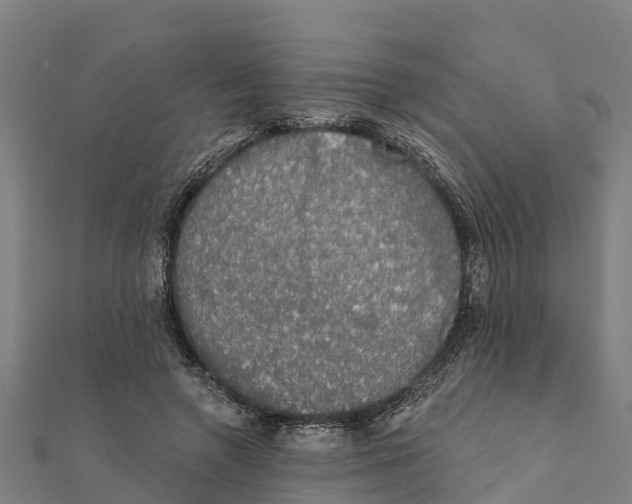 X0000111590546200908131343