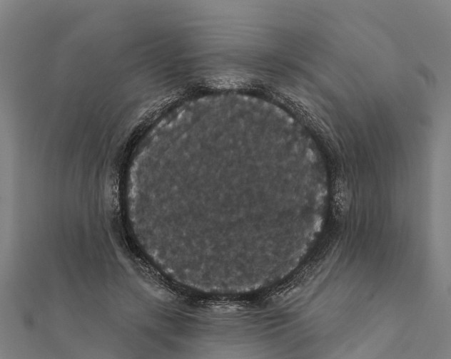 X0000111590547200908131343