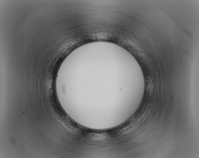 X0000111590548200908131343