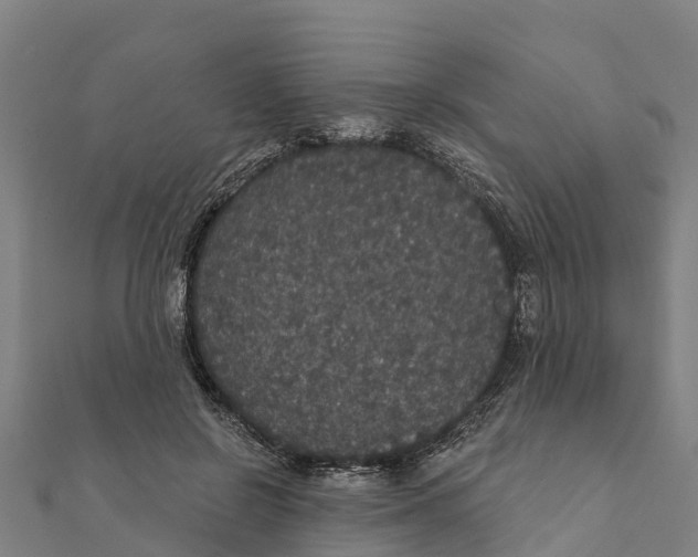 X0000111590550200908131343