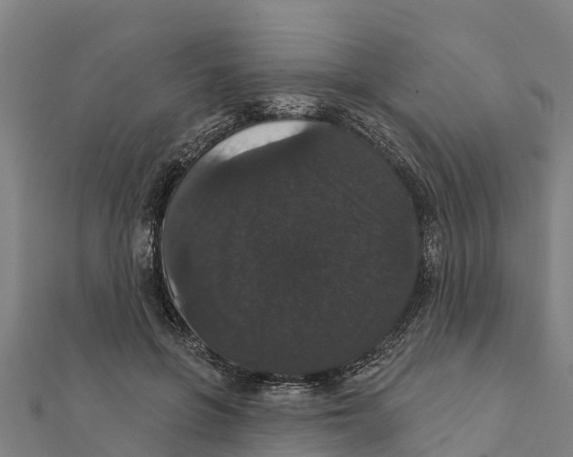 X0000111590551200908131343