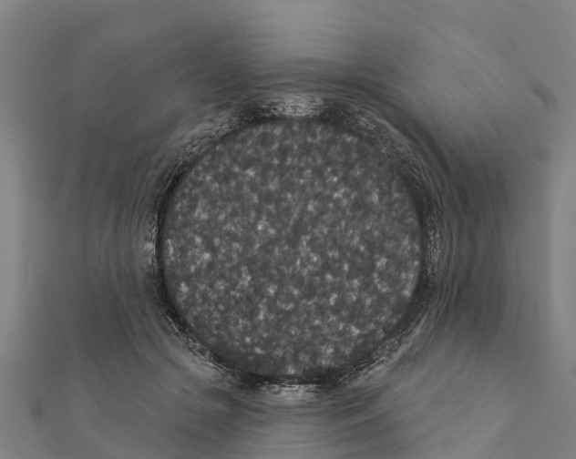 X0000111590553200908131343