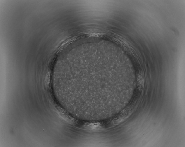 X0000111590554200908131343
