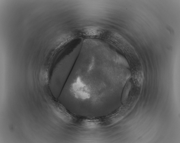 X0000111590556200908131343