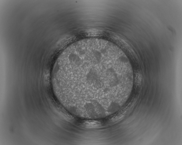 X0000111590557200908131343