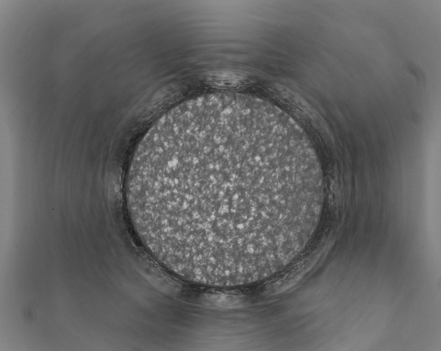 X0000111590561200908131343