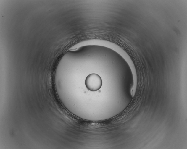 X0000111590562200908131343