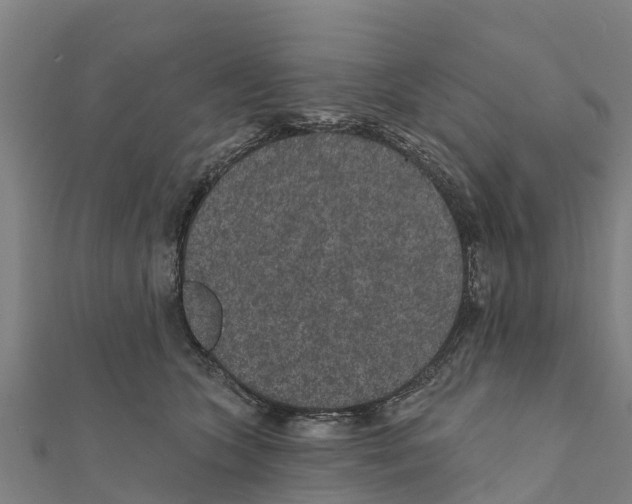 X0000111590563200908131343