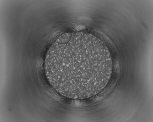 X0000111590565200908131343