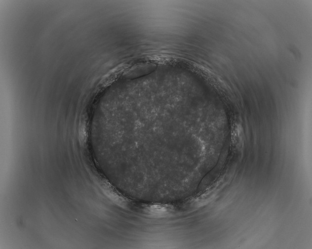 X0000111590566200908131343