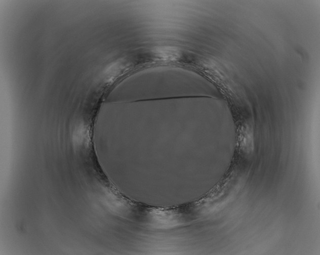 X0000111590568200908131343