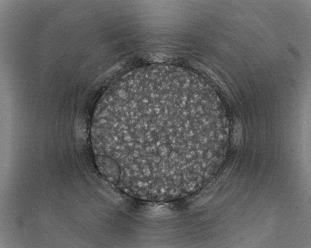 X0000111590569200908131343