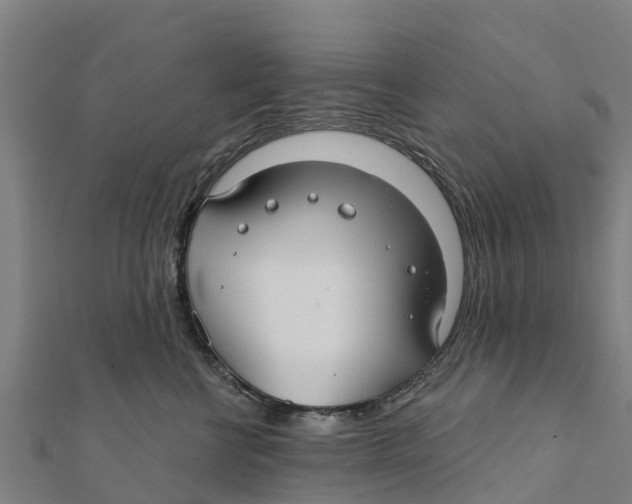 X0000111590570200908131343