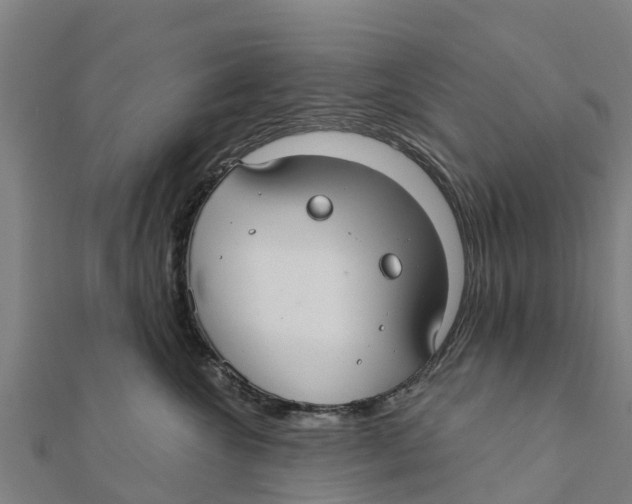 X0000111590572200908131343