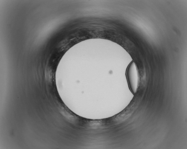 X0000111590574200908131343