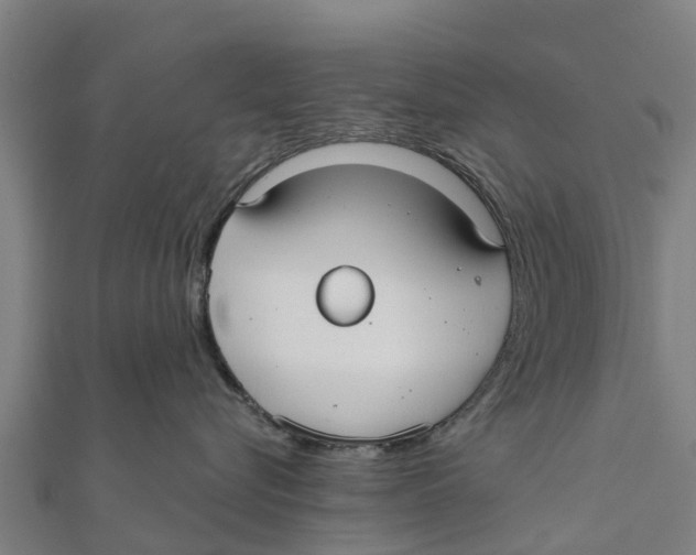 X0000111590576200908131343