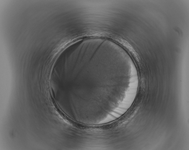 X0000111590577200908131342