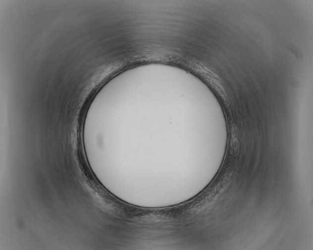 X0000111590578200908131342