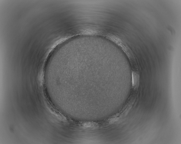 X0000111590579200908131342
