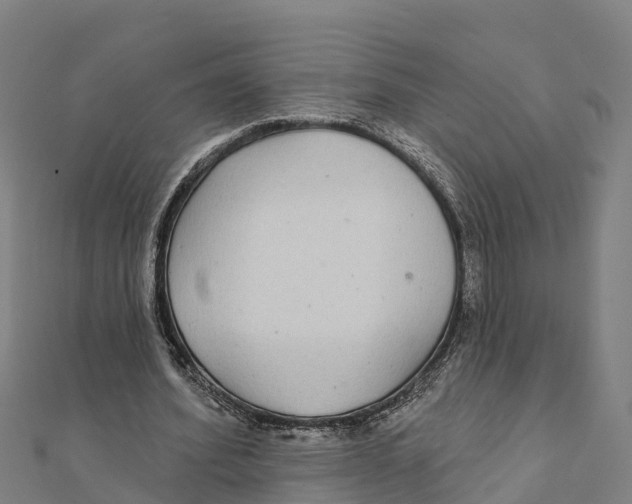 X0000111590580200908131342