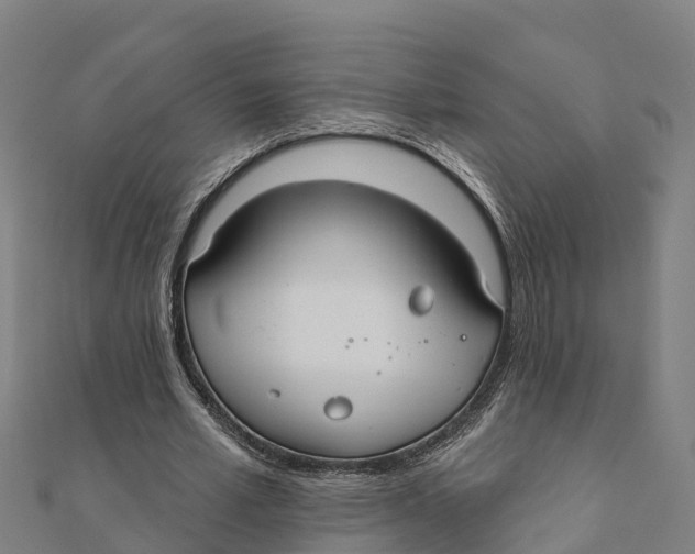 X0000111590581200908131342