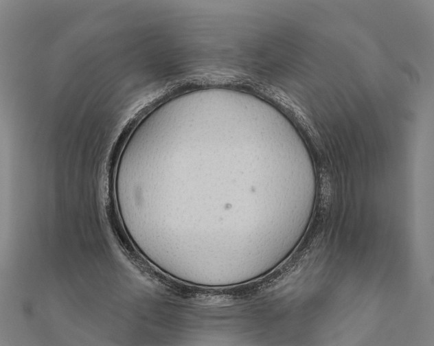 X0000111590582200908131342