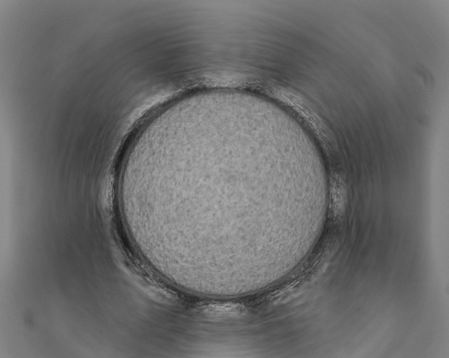 X0000111590583200908131342