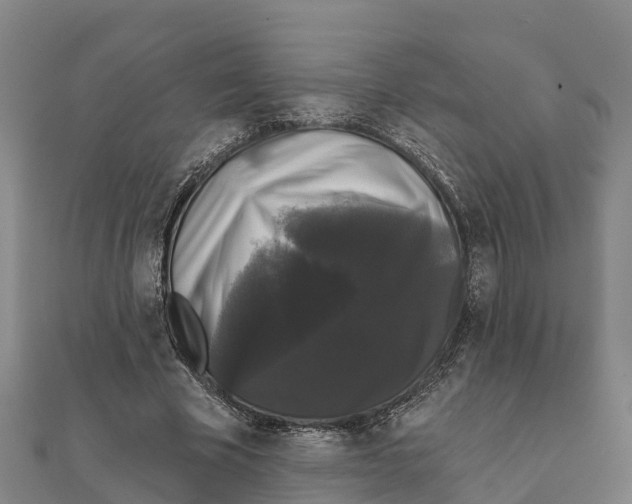 X0000111590585200908131342