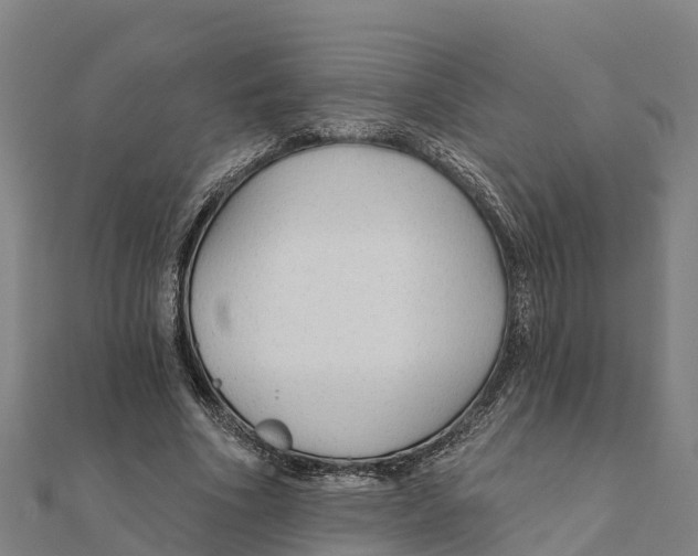 X0000111590586200908131342