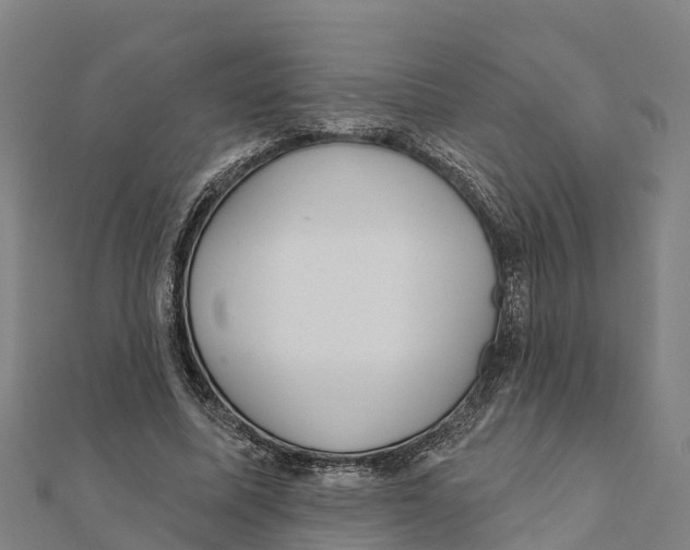 X0000111590587200908131342