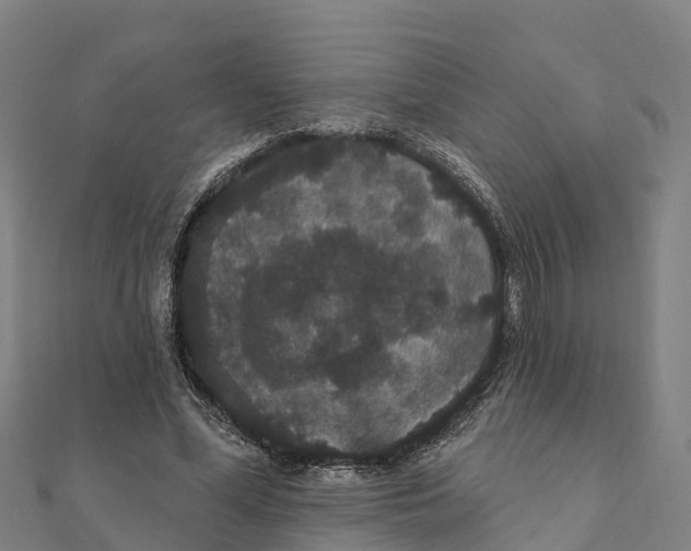 X0000111590588200908131342