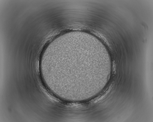 X0000111590589200908131342