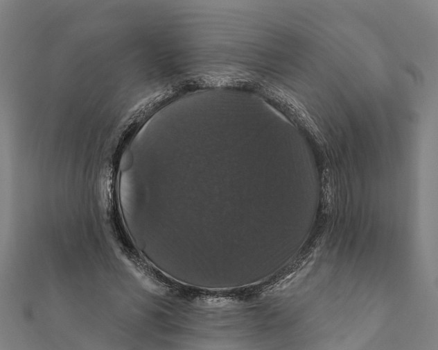 X0000111590590200908131342