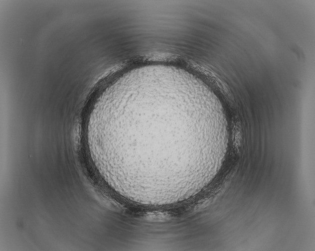 X0000111590591200908131342