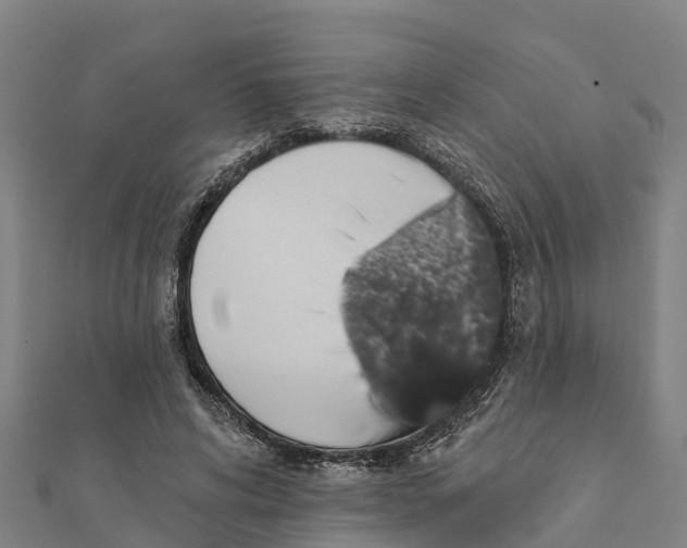 X0000111590592200908131342