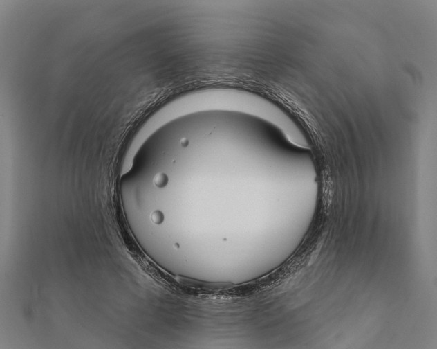 X0000111590593200908131342