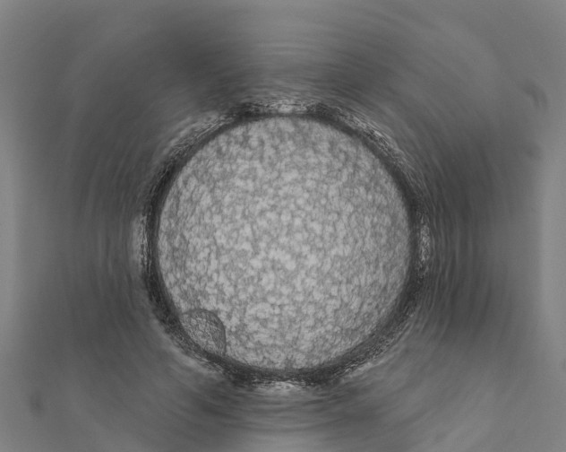 X0000111590594200908131342