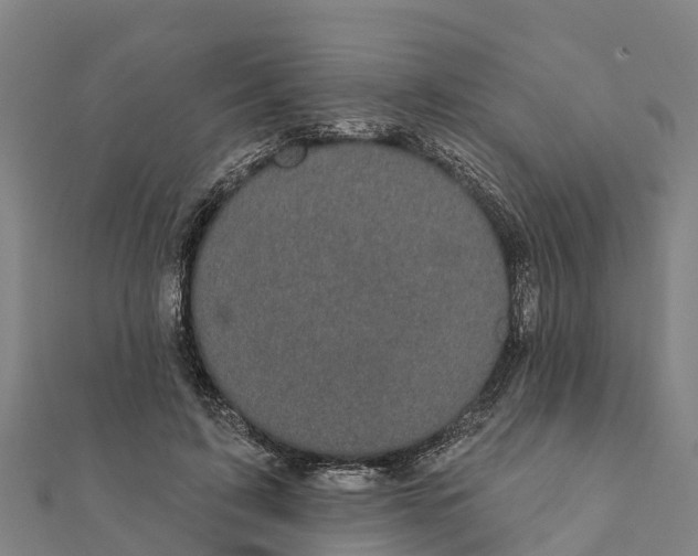 X0000111590595200908131342