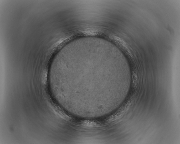 X0000111590596200908131342