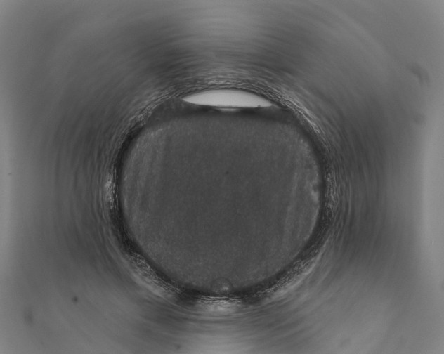X0000111590597200908131342