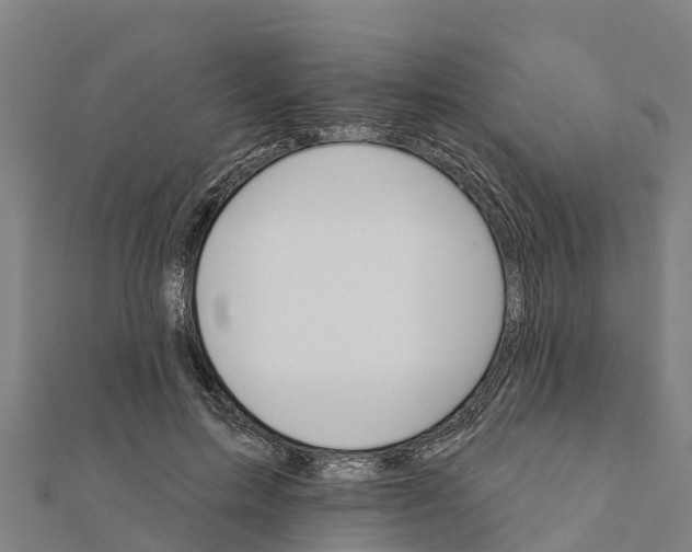 X0000111590599200908131342