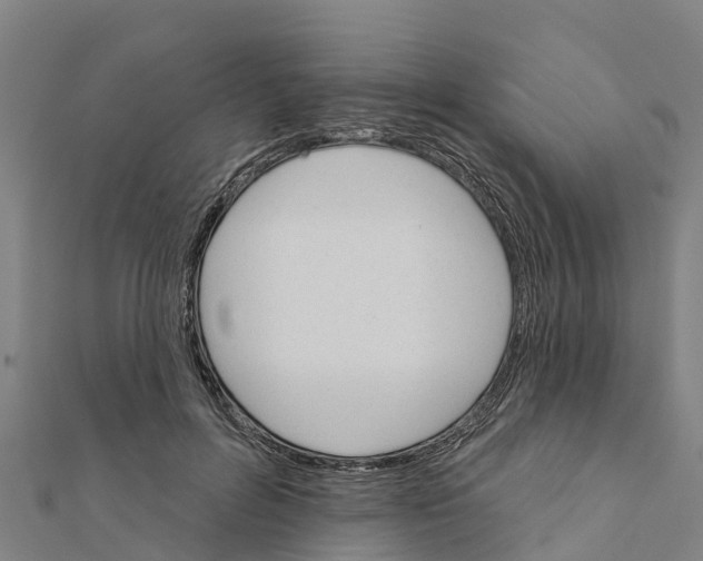 X0000111590600200908131342